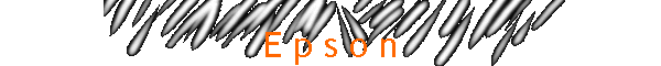 E p s o n