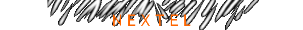 N E X T E L